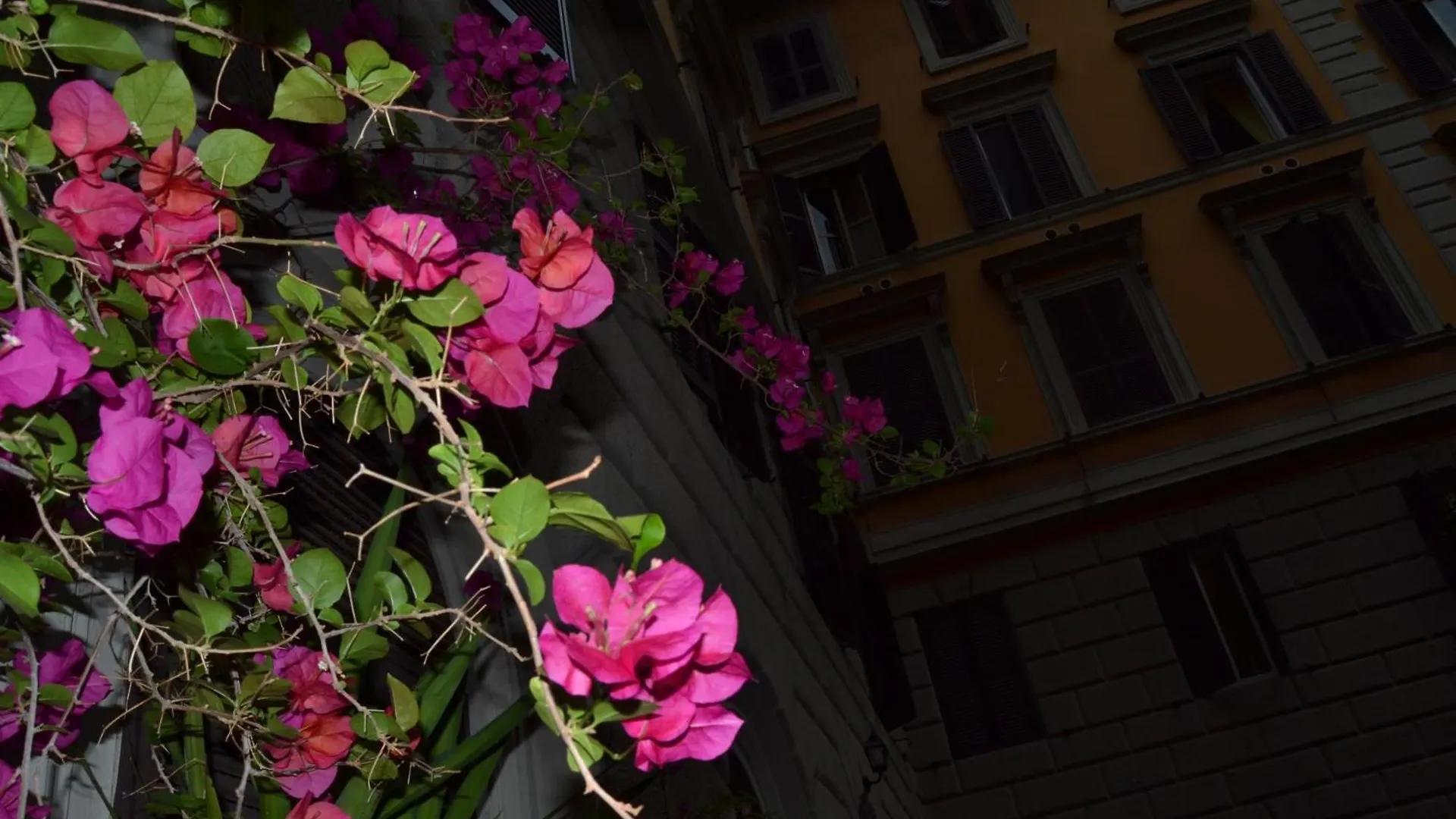 Pensionat Bye Rome Guesthouse